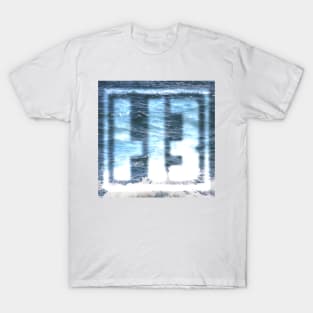 HAUNTED BIRTHDAY Enviro Series (ocean) T-Shirt